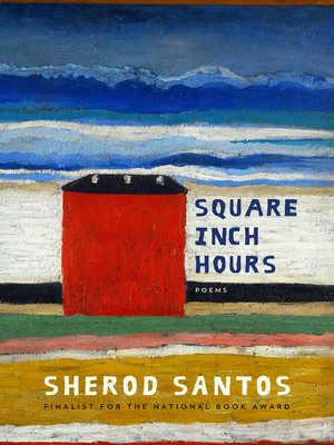cover image of Square Inch Hours